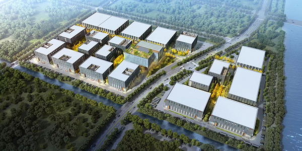 1577955425626112.jpg 12.jpg