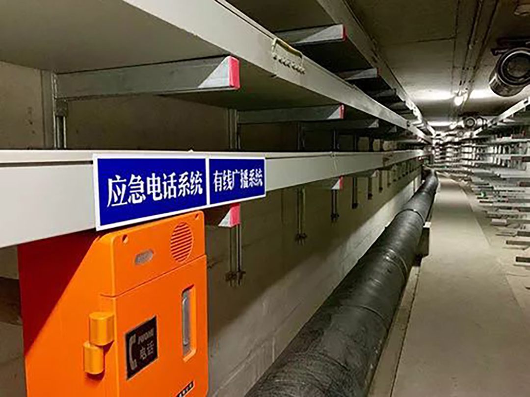 1601187858115462.jpg 3e7c3267-5be7-482d-84b3-d74d36a60da6.jpg