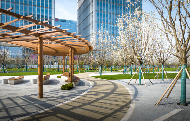 1680254000721729.jpg 日照繁花.jpg