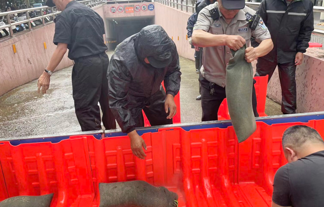 1719799397780059.jpg f6a88c248bd3895519932193c7b97308_.jpg