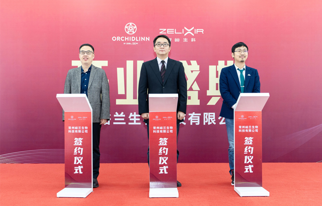 1734920867101531.jpg 2.jpg