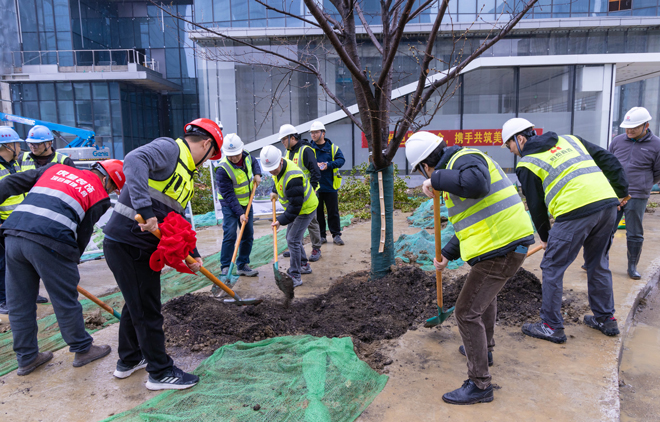 1742797036466369.jpg 照片.jpg